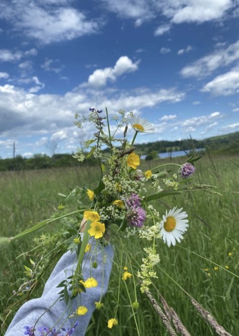 Picking Wildflowers, Flower Picks, Picking Flowers, Favorite Flowers, Vintage Life, Happy Place, Happy Places, Wild Flowers, Collage