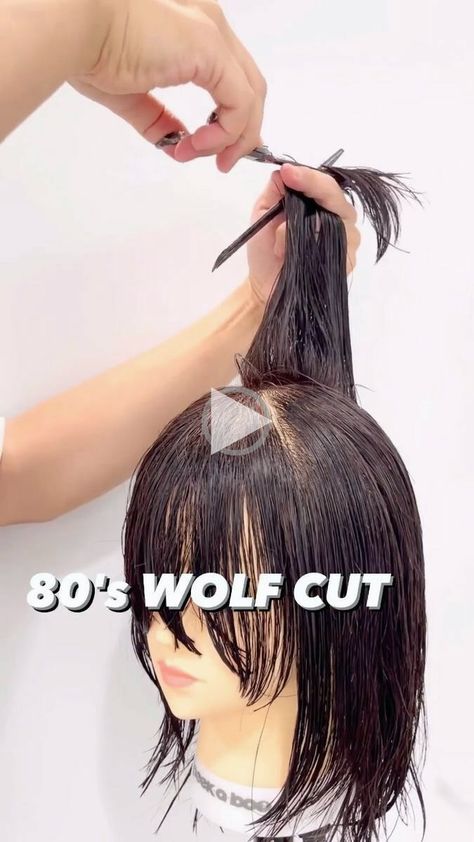 + +Wolf cut hair tutorial 's WOLF CUT from start to finish with @scratch_x_official By Hairbrained face framing curtain bangs thick hair, fa.. Diy Haircut Layers, Hidden Hair Color, Pixie Haircut Fine Hair, Choppy Bob Hairstyles For Fine Hair, Hair Cut Guide, Wolf Cut Hair, Layered Haircuts With Bangs, Wolfcut Hair Long, Haircuts For Long Hair With Layers