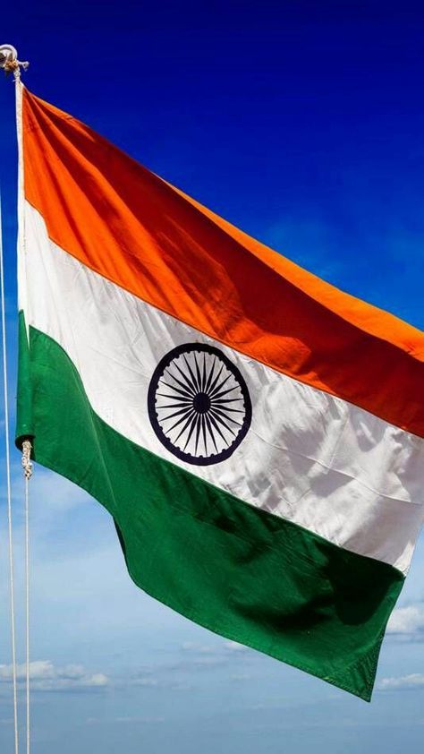 My flag my heart | Indian flag wallpaper, Indian flag, Indian flag colors Tiranga Background, Tiranga Images, Flag India, Indian Flag Wallpaper, Flag Wallpaper, India Flag, Indian Flag, Background Hd, Flag