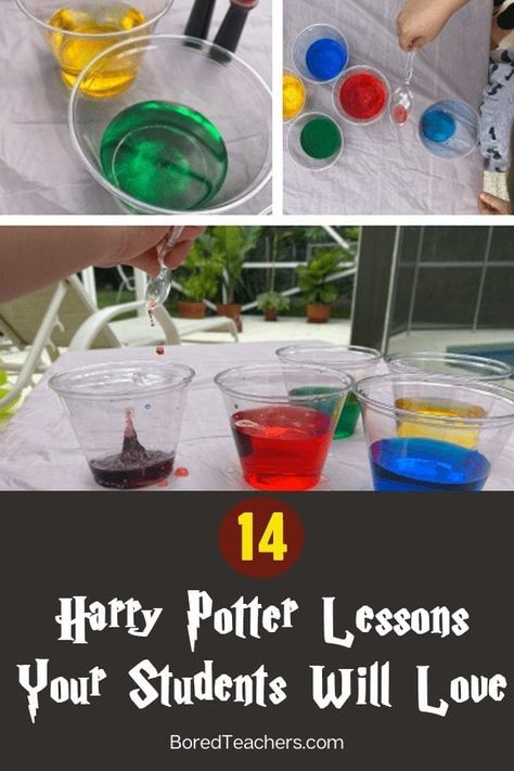 Harry Potter Lessons, Harry Potter Classes, Harry Potter Activities, Harry Potter Day, Harry Potter Goblet, Harry Potter School, Harry Potter Sorting, Animal Lessons, Bored Teachers