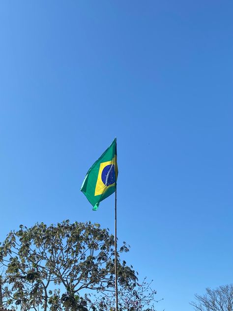 Brazil Flag Aesthetic, Flag Aesthetic, Brazil Aesthetic, Brazil Flag, Labyrinth, Brazil, Flag, Quick Saves