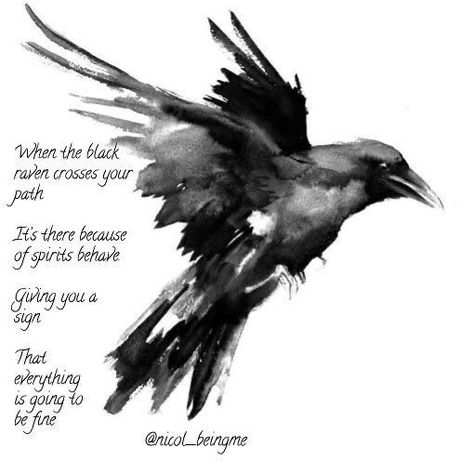 Crow Spirit Animal, Crow Tattoo, Animal Spirit Guides, Raven Tattoo, Crow Art, Black Raven, Raven Art, Crows Ravens, Animal Totems