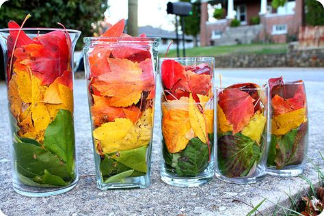 Fall leaf centerpiece-Love! Reggae Wedding, Rasta Birthday, Rasta Wedding, Jamaica Party, Curried Goat Recipe, Rasta Party, Jamaican Party, Fall Foilage, Jamaican Wedding