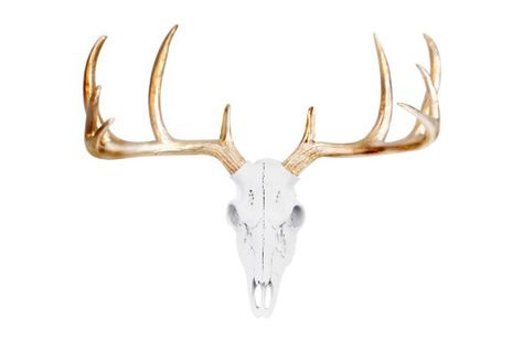 Deer Skull Wall Mount, Deer Antler Wall Decor, Deer Skull Decor, Deer Skeleton, Antler Wall Decor, Animal Head Wall Decor, White Faux Taxidermy, Skull Wall Decor, Animal Head Wall