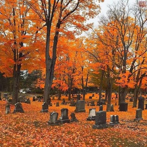 October Country, Fall Cottage, Old Cemeteries, Autumn Magic, Autumn Days, Season Of The Witch, Autumn Scenery, Halloween Haunted Houses, Cozy Autumn