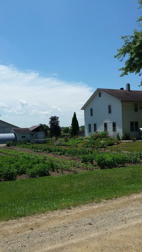 Amish garden, Shipshewana :) Amish Aesthetic, Amish Garden, Amish Living, Amish Farm, Amish Community, Farm Ranch, Country Farm, Dream Home Design, Dream House