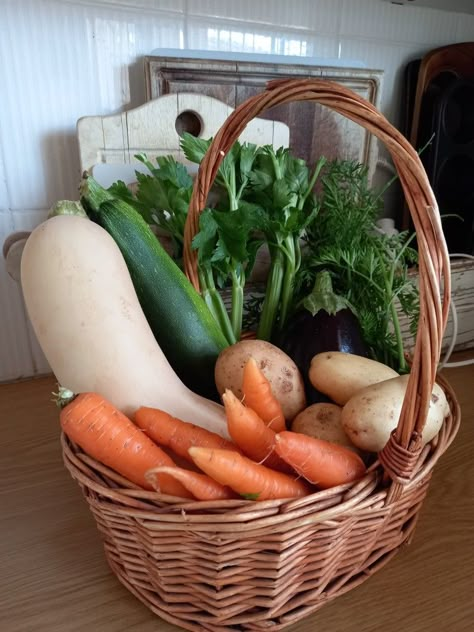 Veg Aesthetic Food, Dream Garden Vegetable, Veggie Farm, Veggie Basket, Indoor Vegetables, Vegetable Pictures, Garden Organization, Harvest Basket, Home Grown Vegetables