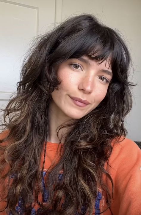 Shaggy Hair With Highlights, Shag Long Wavy Hair, Wavy Hair Long Shag, 70s Curly Hair With Bangs, Soft Shag Haircut Wavy Hair, Soft Shag Wavy Hair, Curly Bangs Shag, Long French Fringe, Wolf Haircut Wavy