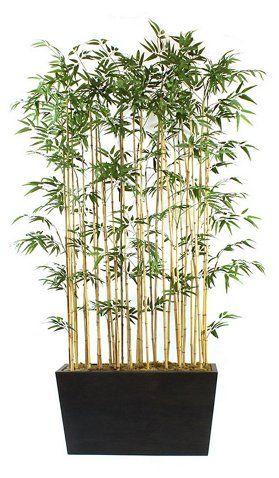 96" Bamboo Stalks w/ Wide Planter, Faux $1,499.00 Bamboo Hedge, Bamboo Floor, Bamboo Planter, Colorful Planters, Bamboo Stalks, Wood Planter Box, Bamboo Garden, Floor Plants, Artificial Foliage