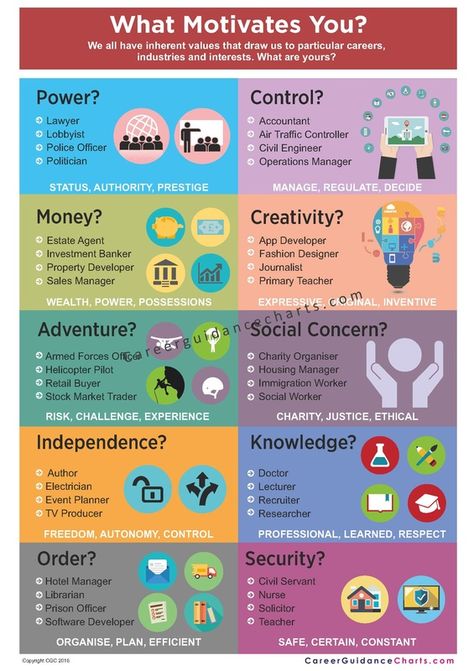 Career Infographics - Career Charts Career Pathways Infographic, Career Guidance Posters, Career Counseling Poster, Career Values, Art Careers, Cv Inspiration, Career Counselling, Career Motivation, Career Ideas