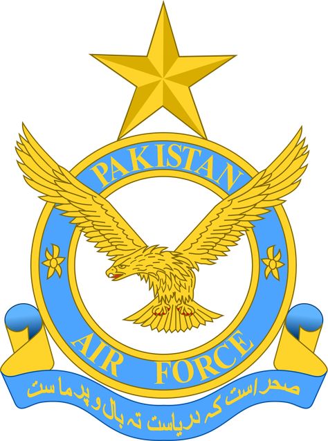 Pakistan Air Force, Army Football, Pakistan Armed Forces, Navy Football, Air Force Academy, Pakistan Army, Online Registration, Military Patch, Job Portal