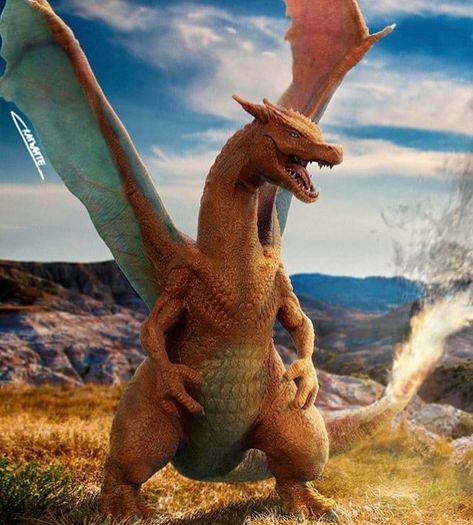 Realistic Charizard, Pichu Pokemon, Pokemon In Real Life, Ahri Wallpaper, Pokemon Realistic, 3d Pokemon, Best Pokemon, Real Pokemon, Madara Susanoo