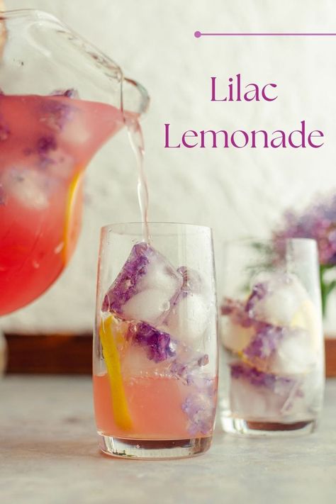 Lilac Lemonade, Lilac Syrup, Soul People, Spring Drink, Drink Recipes Nonalcoholic, Milk Shakes, Lemonade Recipes, Iced Drinks, How To Squeeze Lemons