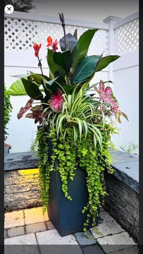 Patio Flower Pots, Tropical Backyard Landscaping, Potted Plants Patio, Planter Arrangements, Pool Plants, Patio Flowers, Porch Flowers, Tropical Garden Design, Container Garden Design