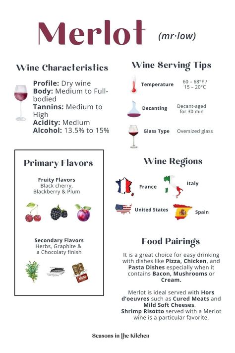 Dive into the smooth and versatile world of Merlot! This infographic breaks down wine characteristics, flavors, serving tips, food pairings, and the regions that make this wine so popular. A must-save for wine enthusiasts! Pop over to our site for more info! Merlot Pairing, Wine Reference, Wine For Beginners, Wine Infographic, Syrah Wine, Wine Paring, Shiraz Wine, Wine Basics, Wine Facts