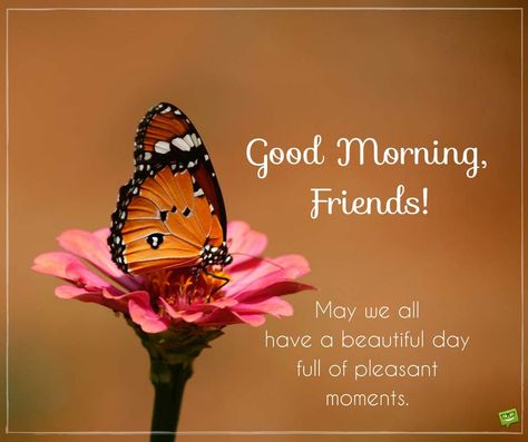 Good morning, friends! May we all have a day full of pleasant moments. Good Morning Messages Friends, Good Morning My Friend, Good Morning Images Download, Butterfly Quotes, Morning Pics, Butterfly Collection, Good Morning Beautiful Quotes, Good Morning Friends Quotes, Good Morning Image Quotes