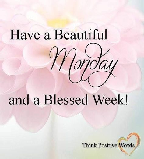 Have A Beautiful Monday Pictures, Photos, and Images for Facebook, Tumblr, Pinterest, and Twitter New Week Quotes, Happy Monday Images, Monday Greetings, Monday Pictures, Happy Monday Quotes, Have A Blessed Week, Monday Morning Quotes, Good Monday Morning, Beautiful Monday