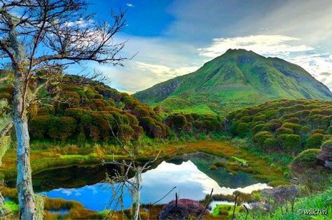 Mount Apo, Underwater River, Davao Philippines, Philippine Holidays, The Deep Blue Sea, Philippines Travel, Davao, Deep Blue Sea, White Sand Beach