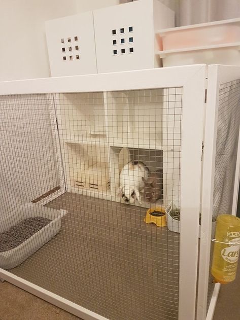 Rabbit hutch diy, ikea kallax hack Diy Bunny Cage, Indoor Rabbit House, Rabbit Hutch Plans, Diy Rabbit Cage, Rabbit Hutch Indoor, Indoor Rabbit Cage, Diy Rabbit Hutch, Diy Guinea Pig Cage, Rabbit Enclosure