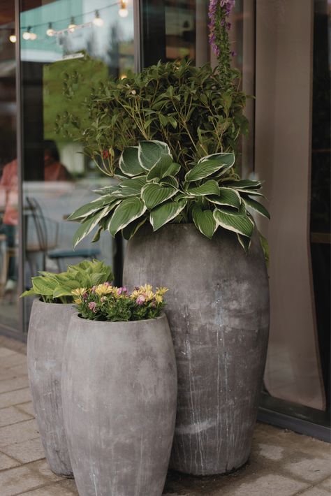 8 Elevated Patio Decor Ideas To Style Any Outdoor Space - Summer Affect Outdoor Patio Pots & Planters, Patio Pots Ideas, Patio Planters Outdoor, Patio Pots Ideas Planters, Large Planters Outdoor Ideas, Planters Outdoor Ideas, Lanai Decorating Ideas, Planter Ideas Outdoor, Elevated Patio