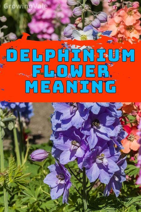 Delphinium Flower Meaning Larkspur Flowers, Ornamental Garden, Larkspur Flower, Delphinium Flowers, Flower Meanings, Attract Pollinators, Delphinium, Open Heart, Best Practices