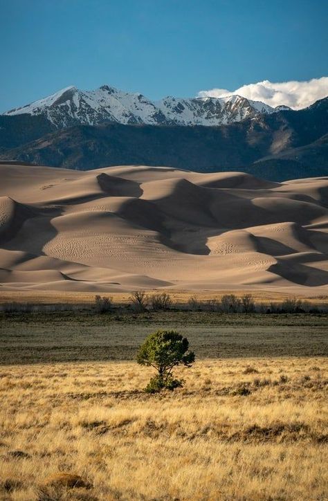 Colorado Sand Dunes, Sand Dunes Colorado, Sand Dunes National Park Colorado, Great Sand Dunes National Park, Nature Tourism, Nice Life, Great Sand Dunes, American National Parks, Explore Colorado