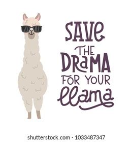 Birthday Room Decor, Birthday Card Illustration, Design For Cards, Llama Images, Llama Drawing, Cartoon Llama, Birthday Room, Birthday Greetings Funny, Cute Alpaca