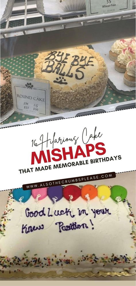 16 HILARIOUS CAKE MISHAPS THAT MADE MEMORABLE BIRTHDAYS Cake Fails Hilarious, Cake Fails, Hedgehog Cake, In Disbelief, 16 Cake, Number 13, Double Take, Round Cakes, Pastry Chef