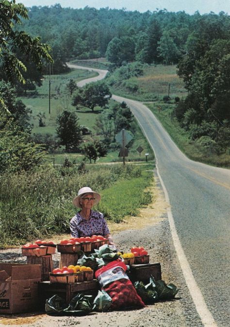 Americana+ Northern Georgia, Vegetable Stand, Farm Stand, Down On The Farm, Back Road, Rural Life, On The Road Again, Country Farm, Down South