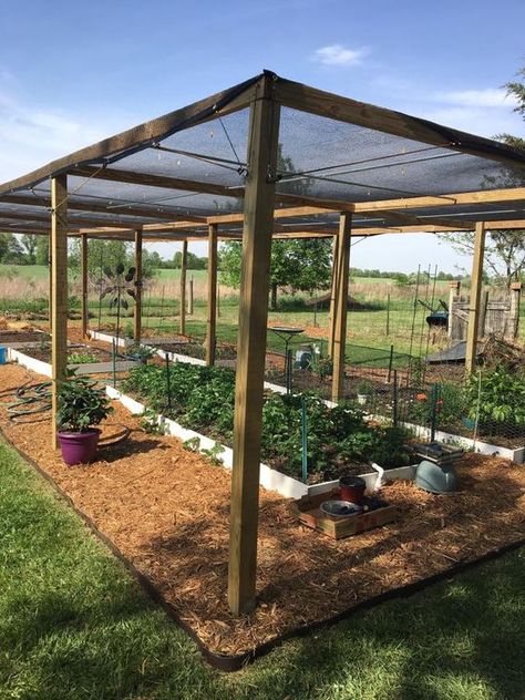 Covered Vegetable Beds Backyard Greenhouse, Garden Area, Veg Garden, Home Vegetable Garden, Garden Yard Ideas, Vegetable Garden Design, Garden Structures, Garden Layout, Veggie Garden