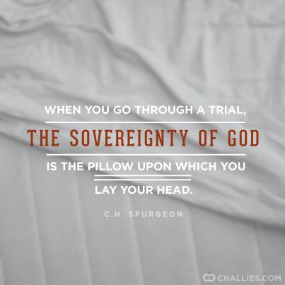 "When you go through a trial, the sovereignty of God is the pillow upon which you lay your head." - C.H. Spurgeon Sovereignty Of God, Charles Spurgeon Quotes, Spurgeon Quotes, Reformed Theology, Soli Deo Gloria, Learning To Trust, July 12, Scenic Drive, Quotable Quotes