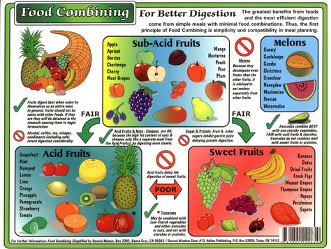 Here is a helpful fruit combination chart to use when you make fruit smoothies to keep from bloating and get better digestion.  I made a sweet fruit smoothie with 3 bananas and 2 cups of red thompson seedless grapes.  The more ripe the fruit the better for you too, so let those bananas get spotted! Food Combining Chart, Sistem Pencernaan, Fruit Combinations, Gm Diet, Nutrition Chart, Raw Food Diet, Alkaline Diet, Food Combining, Digestion Problems