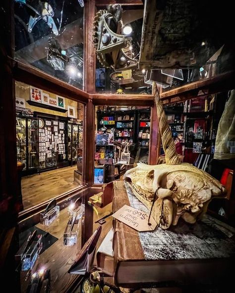 Curiosa on Instagram: "The view out from our cabinet of curiosities ✨ #curiosasociety #extraordinarythings #cabinetofcuriosities" Curiosity Shop, Cabinet Of Curiosities, Fire Starters, Bookstore, Instagram