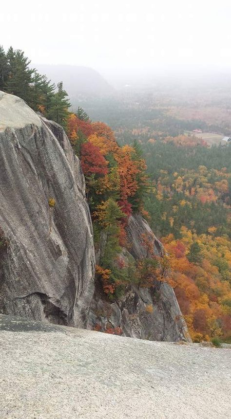 Cathedral Ledge, North Conway NH North Conway New Hampshire Winter, North Conway Nh, Cathedral Ledge New Hampshire, North Atlantic Right Whale, Washington National Cathedral, North Cascades Scenic Highway, North Conway, Half Dome, Natural Landmarks