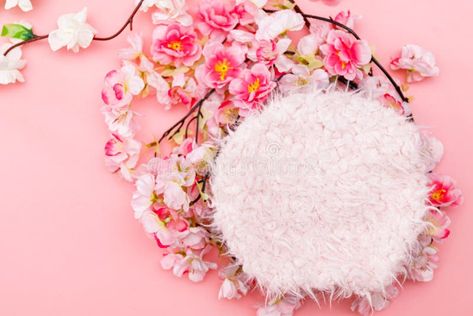 Colorful digital floral background for newborn photography royalty free stock images Peonies Background, Newborn Background, Baby Photography Backdrop, Newborn Flower, Abstract Animal Art, Romantic Background, Pink Carnations, White Backdrop, Backdrops Backgrounds