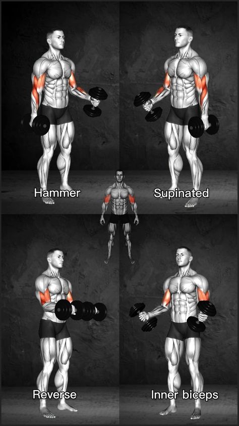 Hammer Workout, Dumbbell Bicep Workout, Full Arm Workout, Arm Workout Men, Back And Bicep Workout, Dumbbell Arm Workout, Bicep And Tricep Workout, Workout Gym Routine, Forearm Workout