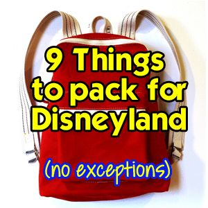 Best Purse For Disneyland, Disneyland Toys, Things To Pack, Disneyland Secrets, Disneyland Planning, Disneyland Tips, Disneyland Vacation, Mk Handbags, Disneyland California