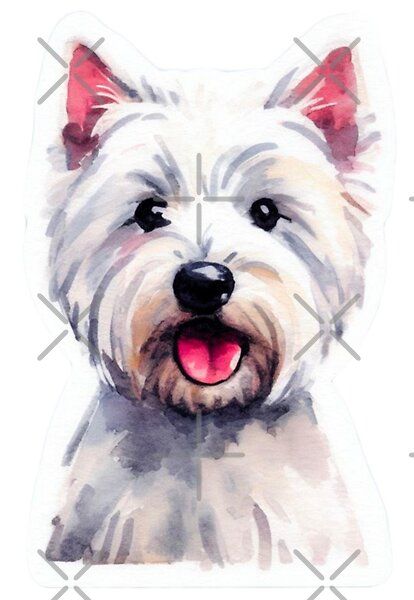 Watercolor Westie Dog, Westie Watercolor, Star Fragment, Lavender Door, Dog Painting Pop Art, Highland Terrier, Highlands Terrier, Westie Dogs, Dog Painting