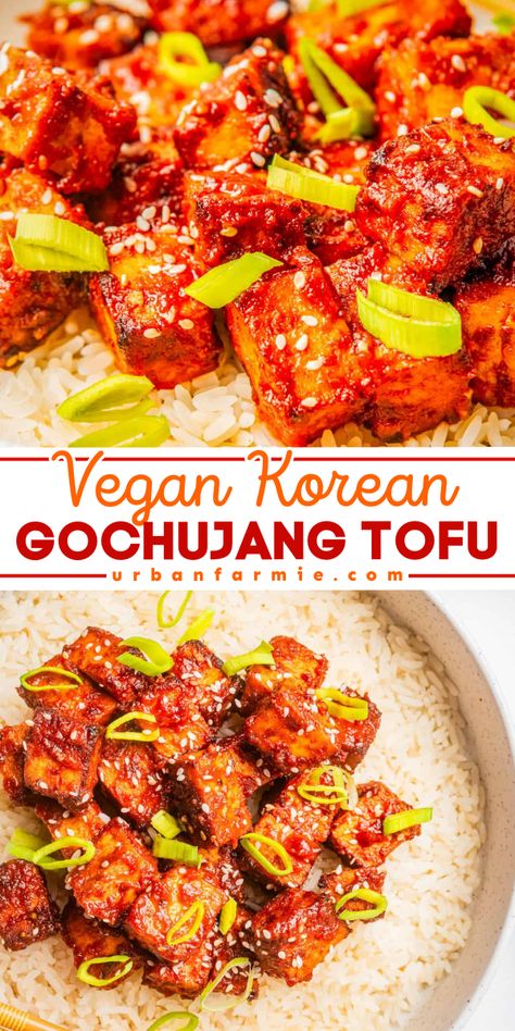 Spice up your dinner with this Vegan Korean Gochujang Tofu! This crispy, protein-rich dish combines sweet, savory, and spicy flavors in less than 30 minutes. A healthy and flavorful option for quick weeknight dinners and family-friendly meals! Tofu Crockpot Recipes, Tofu And Rice Recipes, Simple Vegetarian Dinner Ideas, Korean Tofu Recipes, Simple Vegetarian Dinner, Korean Vegetarian Recipes, Gochujang Tofu, Easy Meatless Meals, Korean Vegetarian