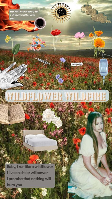 Wildflower Wildfire, Lizzy Grant, Wild Fire, Princess Core, Im Awesome, Hot Weather, How To Better Yourself, Hot Coffee, Your Aesthetic