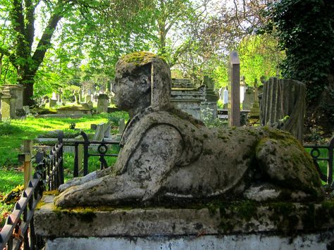 Kensal Green Cemetery and Catacombs | Atlas Obscura Living Dead Girl, Dead Girl, The Living Dead, Atlas Obscura, Cemetery Art, Scary Places, 31 Days Of Halloween, Living Dead, 31 Days