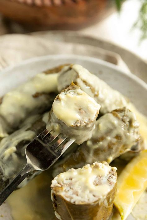 Greek Dolmades, Dolmades Recipe, Grape Leaves Recipe, Greek Sauce, Greek Village, Lemon Dill Sauce, Stuffed Grape Leaves, Lemon Butter Sauce, Greek Cooking