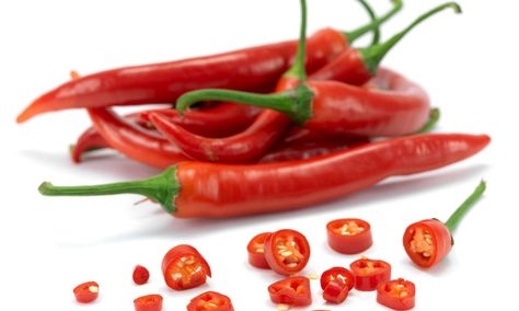 A sprinkling of red chilli peppers on your dinner 'keeps hunger pangs at bay' Chilli Peppers, Purdue University, Chilli Pepper, Red Chilli, Planting Seeds, Cayenne, Peppers, Low Carb Recipes, Indiana