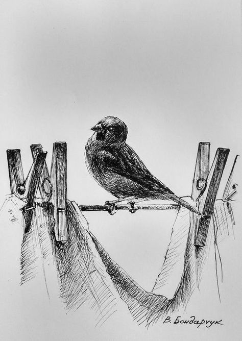 Stylo Art, Sparrow Bird, Pen Art Drawings, Minimalist Drawing, White Drawing, Nature Drawing, Pencil Art Drawings, Black And White Drawing, Bird Drawings