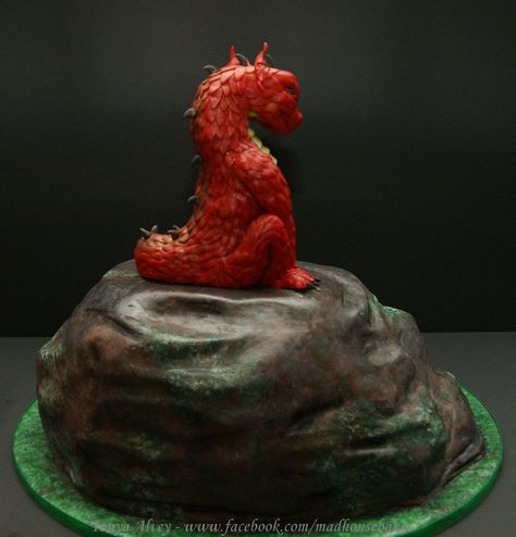 Cave Cake, Dragon Cake, 10th Birthday, 8th Birthday, Super Heroes, Birthday Cakes, Fondant, Birthday Cake, Novelty Christmas