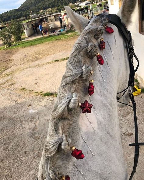 Horse Stall Decorations, Mane Braids, Horse Hairstyles, Christmas Costumes Diy, Horse Braids, Horse Mane Braids, Horse Decorations, Child Aesthetic, Parade Costumes