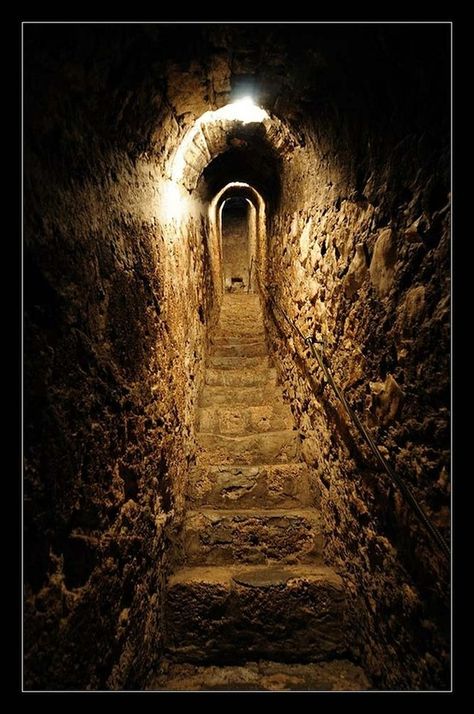 Dracula's Castle, Dracula Castle, Secret Passages, Creepy Places, Chateau Medieval, Trap Door, Spooky Places, Castles Interior, Brasov