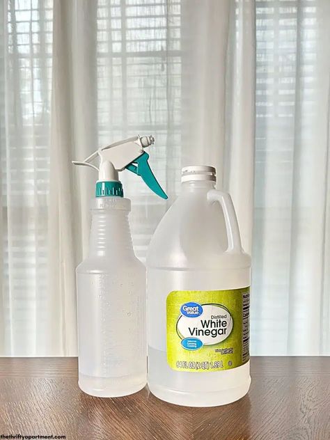 How to Clean Shower Doors with Vinegar Vinegar And Water Cleaner, Glass Shower Door Cleaner, Shower Door Cleaner, Cleaning Shower Glass, Cleaning Shower Tiles, Onyx Shower, Mold And Mildew Remover, Clean Shower Doors, Vinegar Cleaner