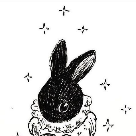 Cat Mallard on Instagram: "Rabbit Rabbit! Happy July! Hope you find a lovely shady spot (or a/c!) to enjoy the weekend! . . . . . #rabbit #bunnylove #rabbitrabbit #inks #whimsicalart #inkdrawing #fae #magical #bunny" Black Rabbit Art, Magical Bunny, Magic Bunny, 2023 Rabbit, Magic Rabbit, Enjoy The Weekend, Black Bunny, Watership Down, Rabbit Illustration