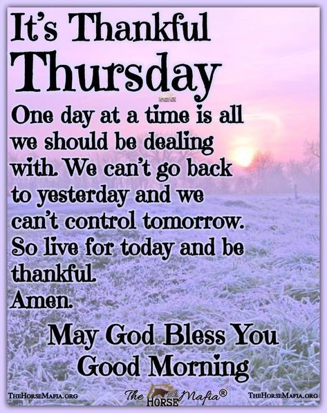 Thursday Morning Wishes, Thursday Morning Prayer, Thursday Wishes, Thursday Morning Quotes, Wednesday Morning Greetings, Thursday Blessings, Morning Scripture, Happy Thursday Quotes, Good Morning Thursday